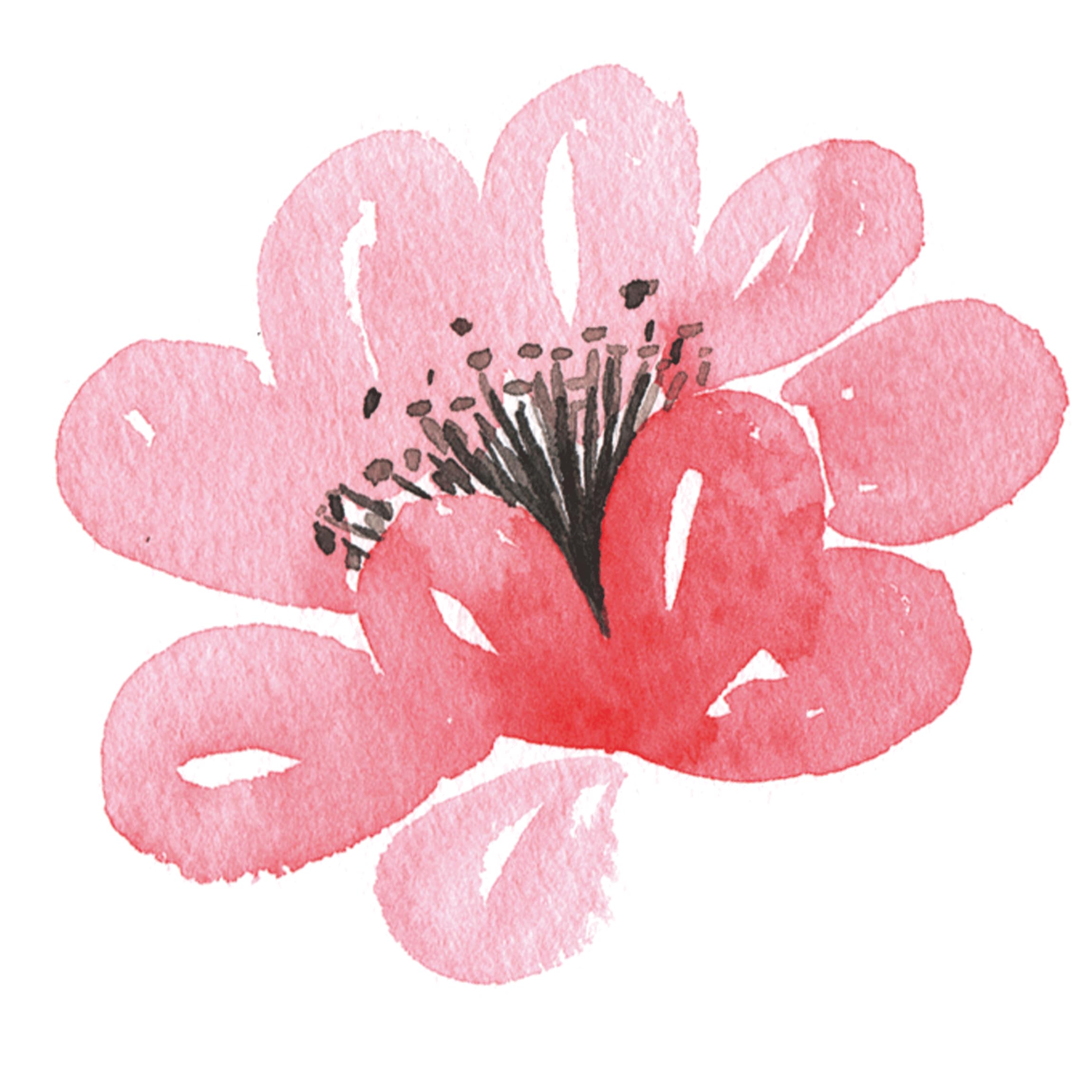 da Vinci Watercolor Series 5389 CosmoTop Spin Lettering & Flower Brush Set, Synthetic, 3 Brushes (Series 5580, 5880) - Image 5